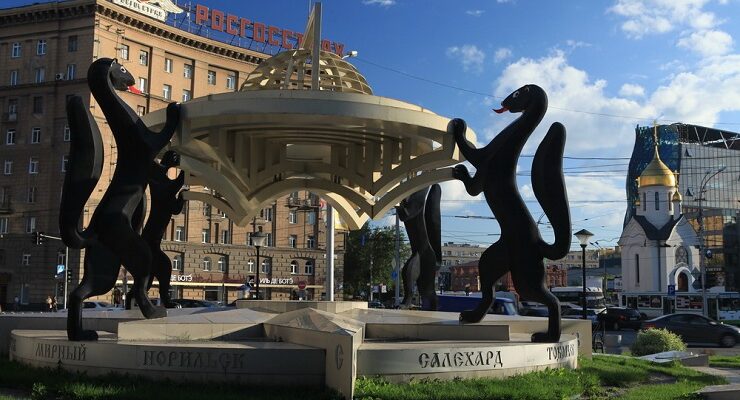 Новосибирские соболи